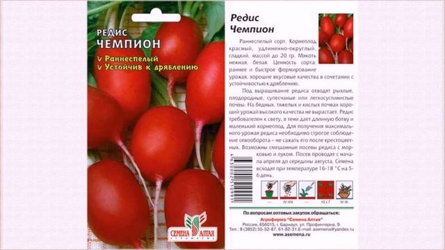 Как вырастить редиску в квартире на подоконнике или балконе смотреть онлайн