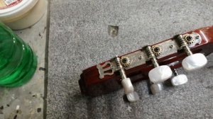 Обзор гитары N. Amati MF-6500