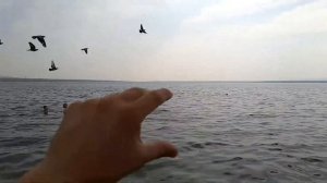 Чита пляж Озеро Кенон.