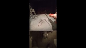 Работа котла с 2 турболизатором, повысило теплоотдачу