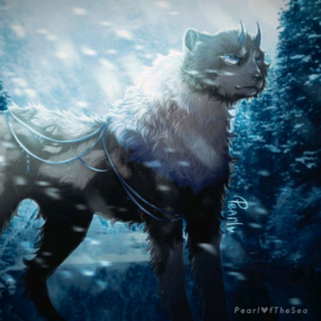 ЖДЁМ ОБНОВЛЕНИЯ WILDCRAFT