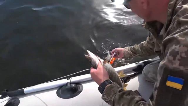 Ловля щуки со Стасом,плохой клев смотреть онлайн