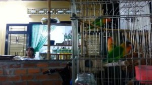 Кафе Морячок 2 Нячанг