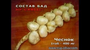 Чеснок (HP Garlic) - компании NSP