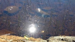 ##1 Сплав по Пуломе и Энгозеру | Амбарный - Кузема 2018 | Приключения на байдарке