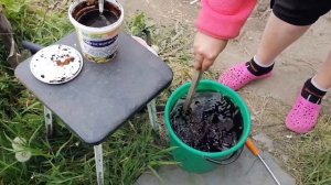 ФИТОСПОРИН. ОБРАБОТКА ТЕПЛИЦЫ ОТ БОЛЕЗНЕЙ И ВРЕДИТЕЛЕЙ.