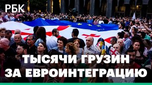 В Тбилиси многотысячный митинг за интеграцию в ЕС. Оппозиция отвела властям полгода