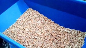 КОРМОИЗМЕЛЬЧИТЕЛЬ ,,ЗУБР,,