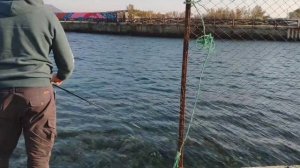 Полное расслабление и отдых. Морская рыбалка. Карась и Сарган.. Большой Утриш и Октябрь в Анапе.