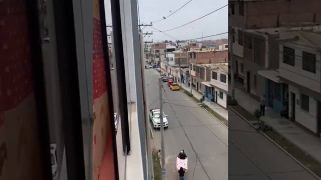 Освобождение голубя из ЛЭП при помощи квадрокоптера?