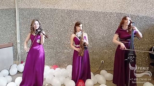 Струнный коллектив на встречу гостей заказать в Москве - лучшее акустическое трио на праздник