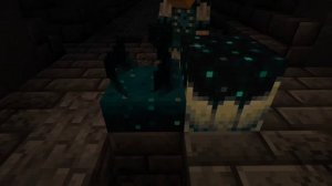 Варден, Древний город и лут в нём | Майнкрафт