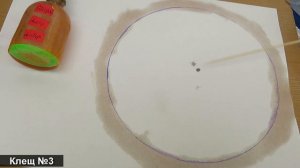 Эфирные масла от клещей: Тест Алоэ, Сандал и Амбер на паразитах