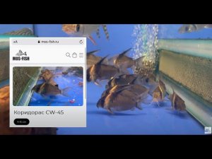 Птичий Рынок 2021 / Поставка из Колумбии / Аквариумистика mos-fish.ru / Часть 3. Итоги поставки.