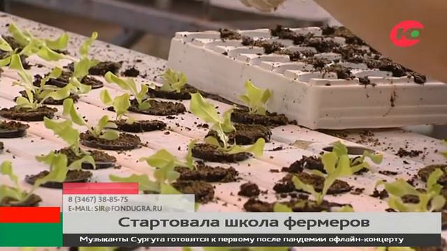 Более 100 жителей Югры пройдут обучение в школе начинающего фермера смотреть онлайн