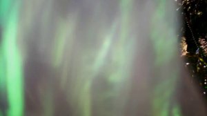 Наталия Гулькина  - Новый год