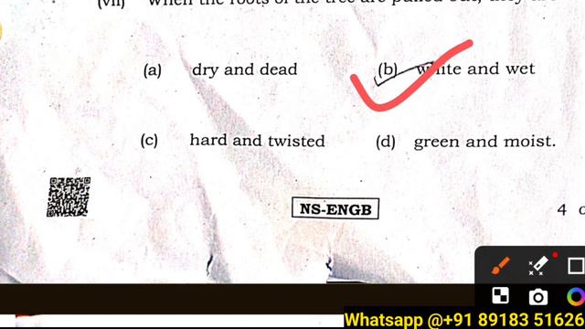 2024 Class 12 English Question Paper with Answer/100% Common//HS English Question Paper 2024💪