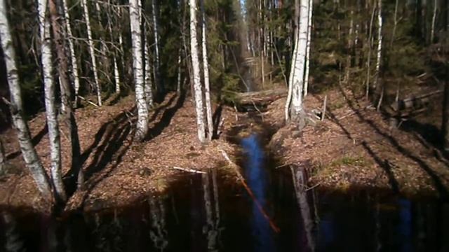 Квадроциклы. CF MOTO.POLARIS.STELS.BRP. смотреть онлайн