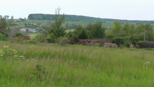 Поиск монет в полях с металлоискателем X-Terra 705 смотреть онлайн