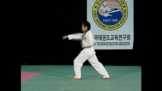WTF Taekwondo - Poomsae Koryo смотреть онлайн