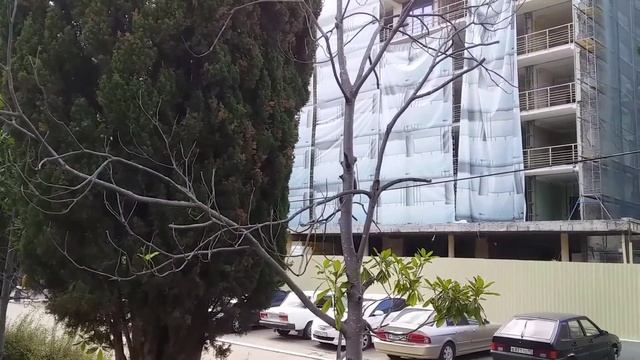 #Магнолия крупноцветковая.#Белка #Белыецветы на деревьях. смотреть онлайн