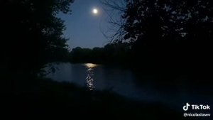 Ночь луна звезды небо река...