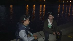 Наловили с другом рыбы в центре города.