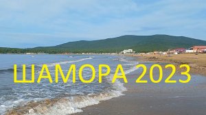 ШАМОРА 2023 - Владивосток  - база Скала любви - с 29 июля по 4 августа