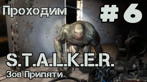 Уютный ламповый стрим. S.T.A.L.K.E.R.: Зов Припяти. Всем фанатам посвящается)