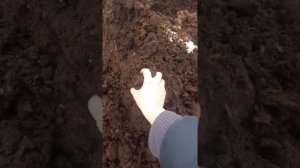 торфокарьер, качество низинного торфа,lowland peat
