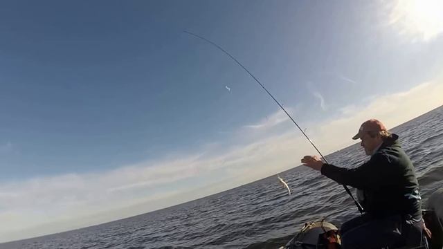 Рыбалка на Чудском озере, окунь смотреть онлайн