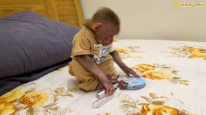 So Funny! Monkey Bibi curiously plays with Mom's makeup