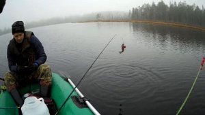 Рыбалка в Карелии осенью. Плотва и окунь на удочку.