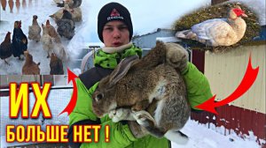 Распрощался с ХОЗЯЙСТВОМ или Нет ?! Больше никогда не будет как РАНЬШЕ