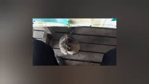 Краснодар.  Рыбалка река Понура.