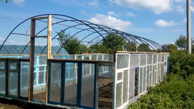 Теплица из старых оконных рам смотреть онлайн