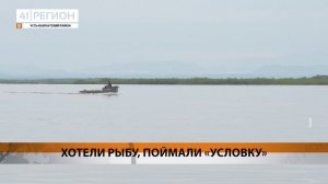 УСЛОВНЫЕ СРОКИ РАЗДАЛИ УЧАСТНИКАМ «РЫБНОЙ ОПГ» • НОВОСТИ КАМЧАТКИ