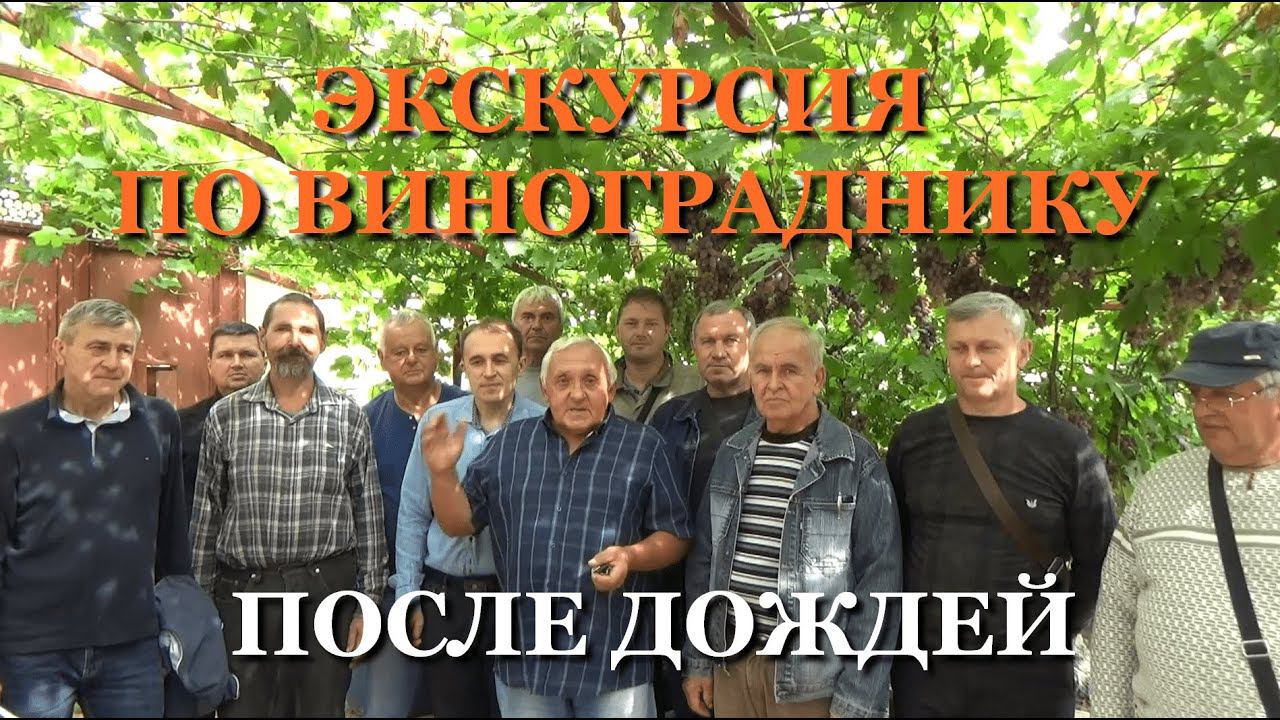 Экскурсия по винограднику после дождей 15 августа 2021 г. смотреть онлайн