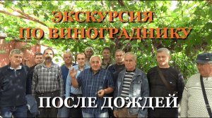 Экскурсия по винограднику после дождей 15 августа  2021 г.