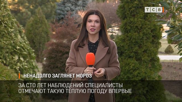 Ненадолго заглянет мороз смотреть онлайн