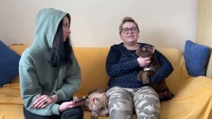 Американский булли: что надо знать перед покупкой щенка? Самые частые вопросы. Часть 1.