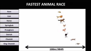 Speed Comparison 2 : Faster than Light