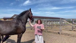 Бегом от обезвоживания. Почему лошадь надо поить сразу после работы?