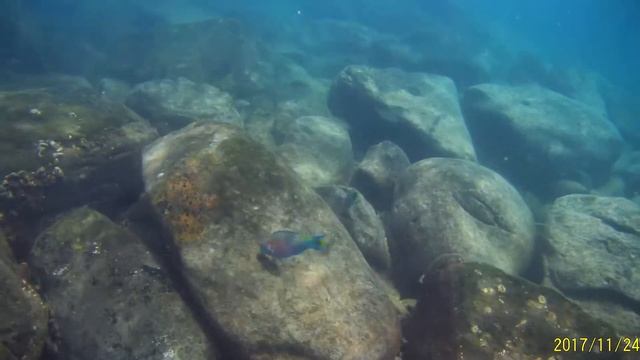 Экшен камера Digma 700 сьемка под водой смотреть онлайн