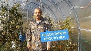 Огород+: Полный обзор теплицы "Рублевская" за 1 год. ЗАВОД ГОТОВЫХ ТЕПЛИЦ