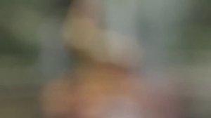 Питер_11_Петергоф.