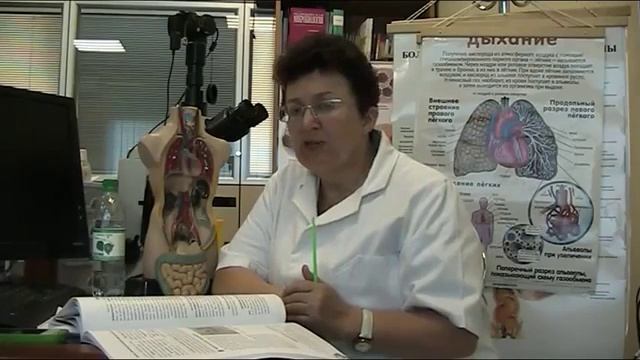 12 Препараты для устранения застоя в желч пузыре смотреть онлайн