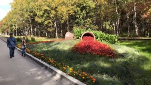 Остров Сахалин. Жизнь на острове. Южно-Сахалинск. Корсаков.