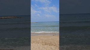 Как капельная система орошения в Израиле превращает сухую землю в цветущий сад.