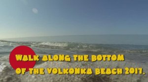 Дно Волконского пляжа. 2017г.
